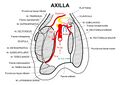 Axillary incision