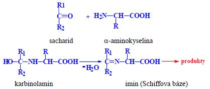Maillard reaction.jpeg