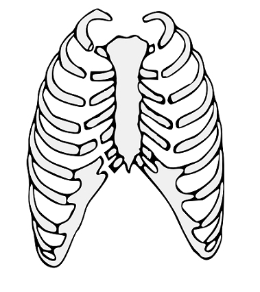 Rib fractures - WikiLectures