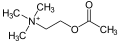 Acetylcholine