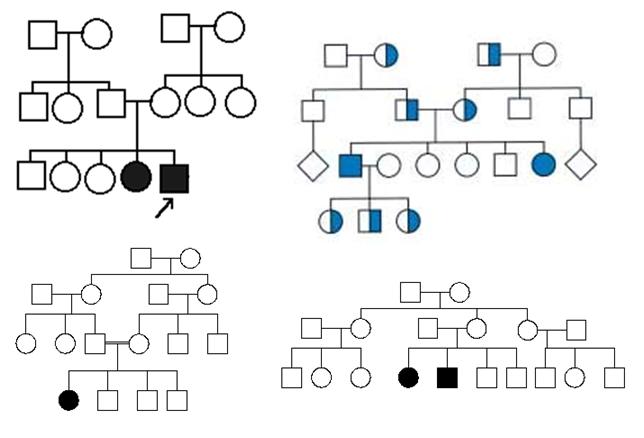 Autosomal Recessive Pedigree Chart