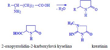 Formation gamalactam.jpeg