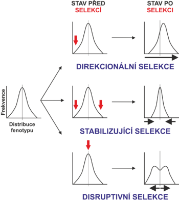 Selection and its types - WikiLectures