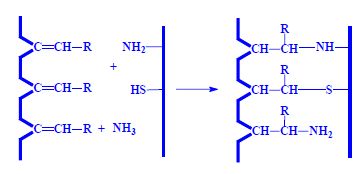 Addition transverse binding.jpeg
