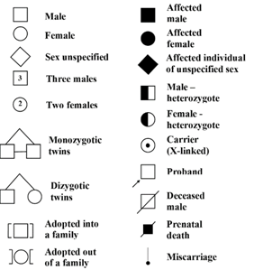 Labeled Pedigree Chart