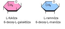 Deoxysacharidy2.jpg