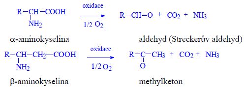 Strecker degradation.jpeg