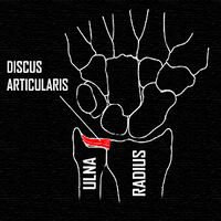 Discus aricularis