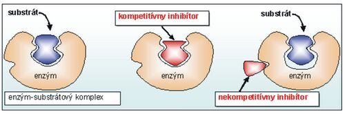 Fig. 4 Competitive and non-competitive inhibition