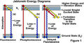 Jablonski Energy Diagram