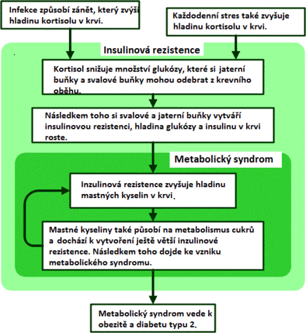 Metabolic syndrom.gif
