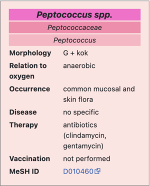 Peptococcus.png