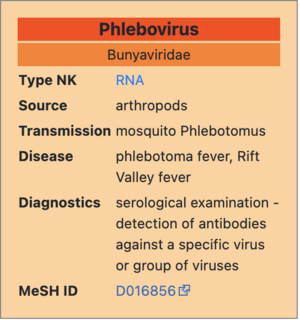 Phlebovirus.png