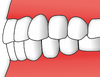 Zuby - psalidodoncie.png
